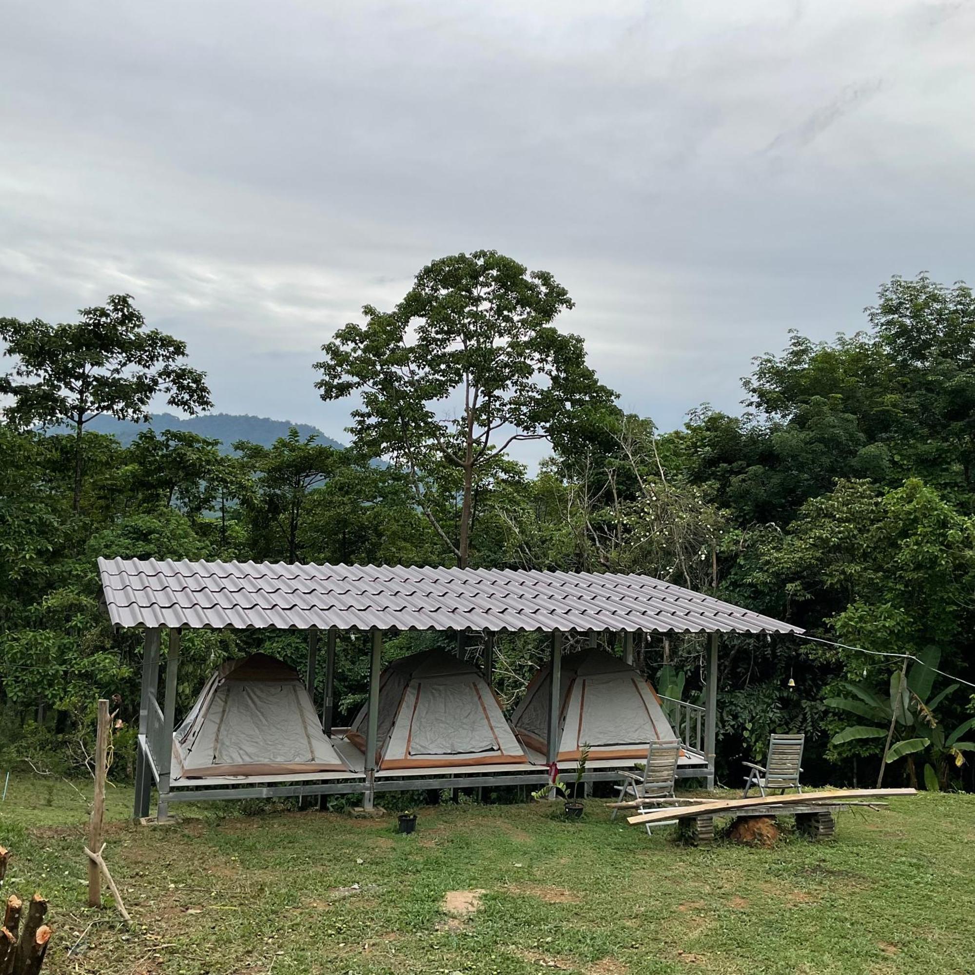 Khao Sok Hill Top Resort Khao Sok National Park Kültér fotó