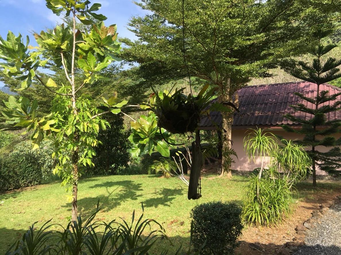 Khao Sok Hill Top Resort Khao Sok National Park Kültér fotó