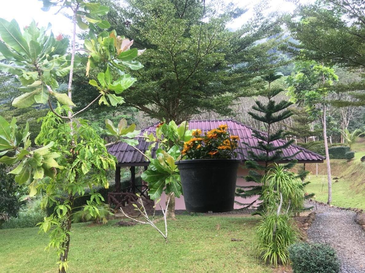 Khao Sok Hill Top Resort Khao Sok National Park Kültér fotó