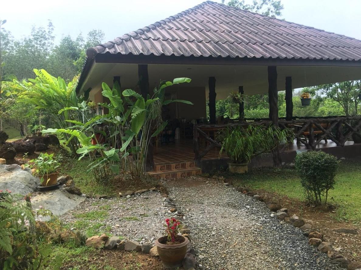 Khao Sok Hill Top Resort Khao Sok National Park Kültér fotó